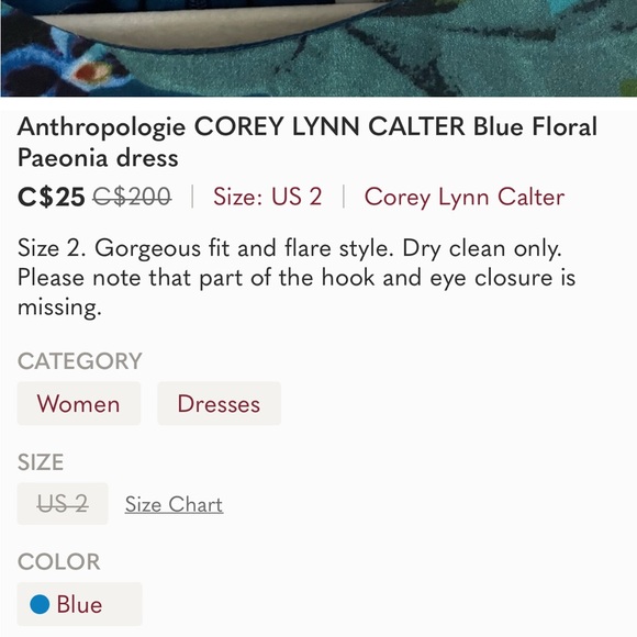 Anthropologie COREY LYNN CALTER Blue Floral Paeonia dress - Picture 6 of 6